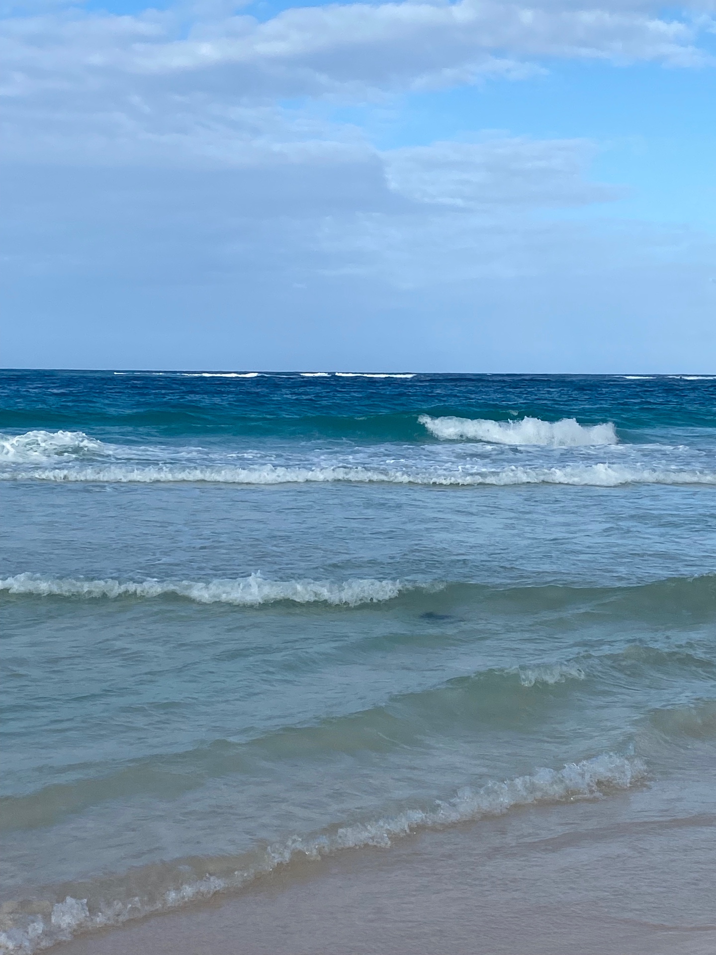 Turquoise surf