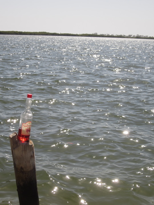 Mar Lodj — bottle marker on the Sine-Saloum delta