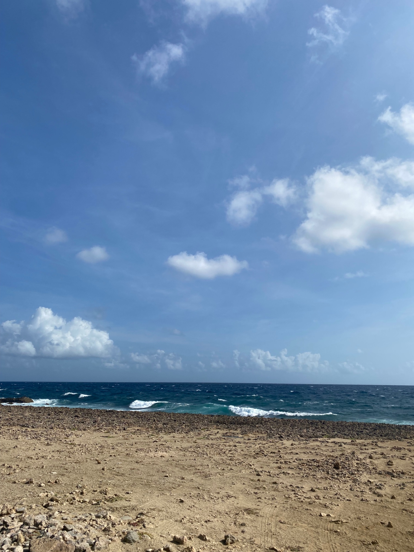 Rocky coast, open sea