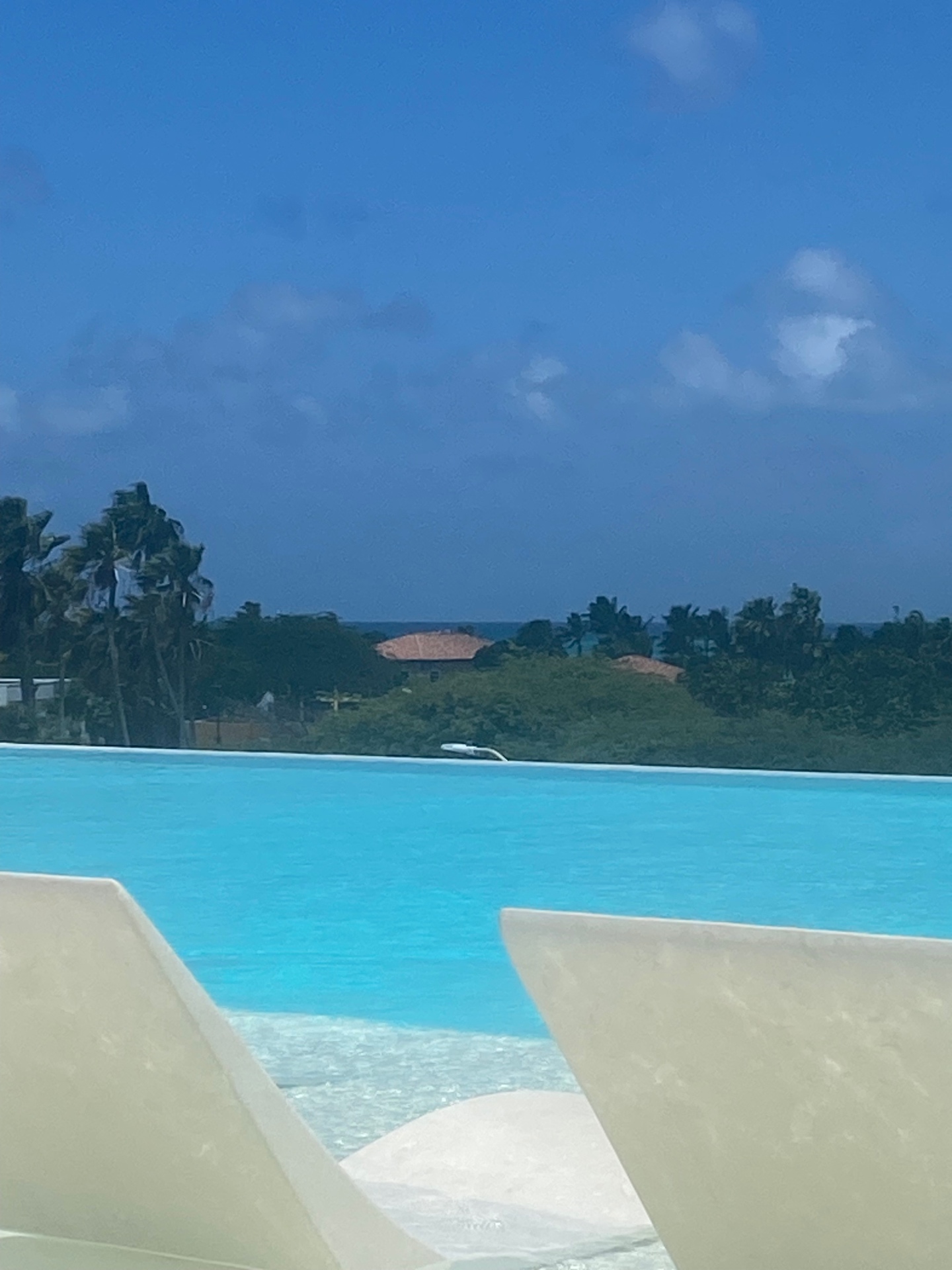 Poolside, looking out