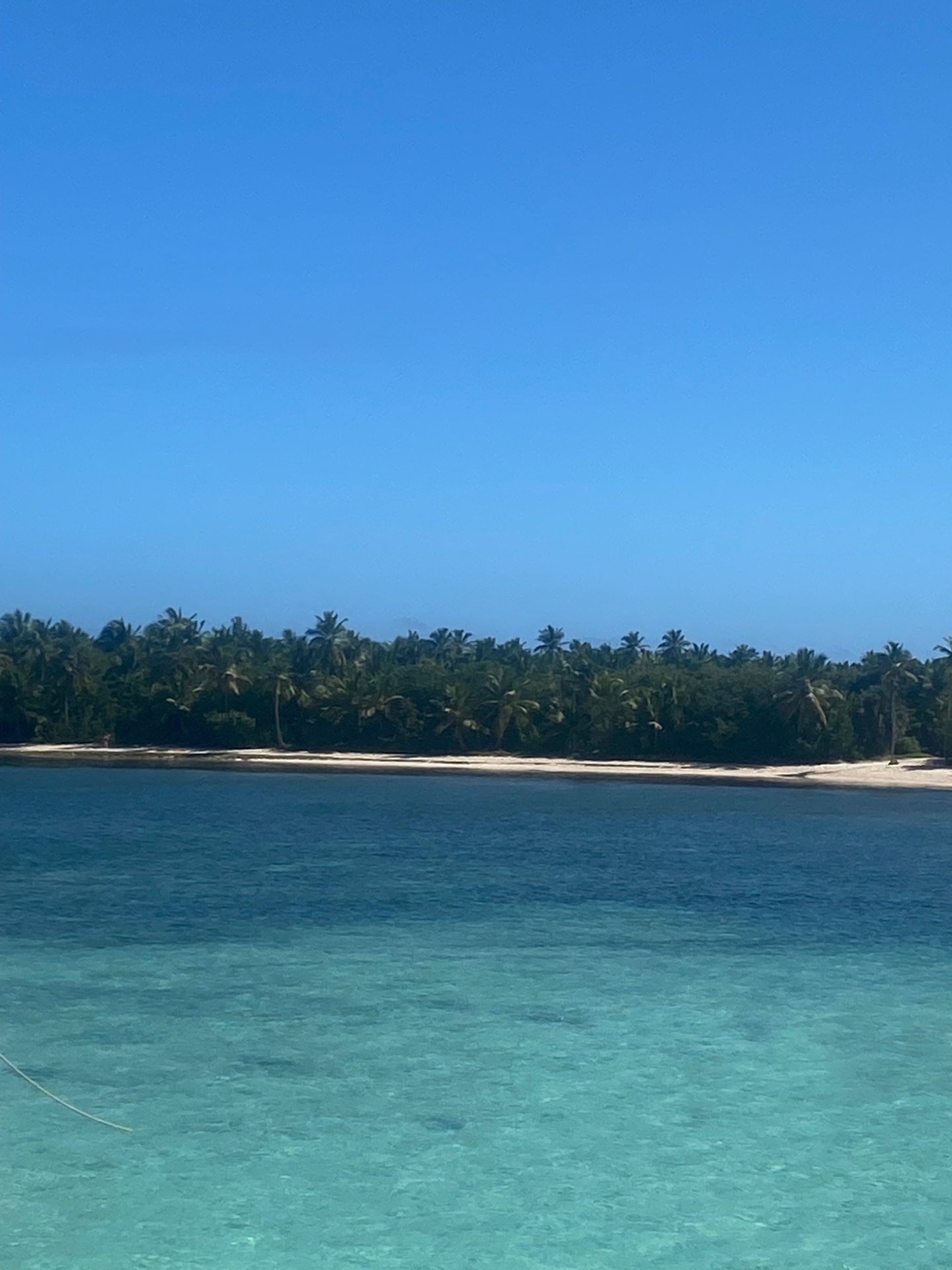 Palm-lined cay across the lagoon